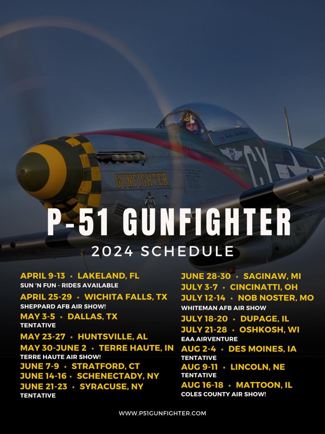 P-51 Gunfighter].jpg